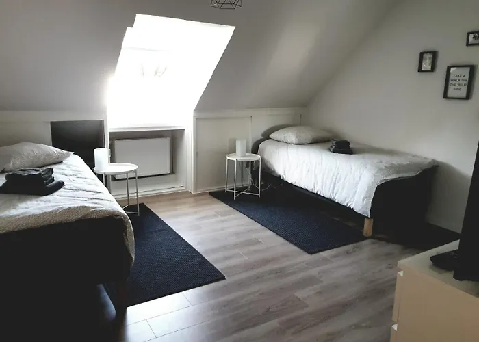 Bruehlerstrasse Apartamento *